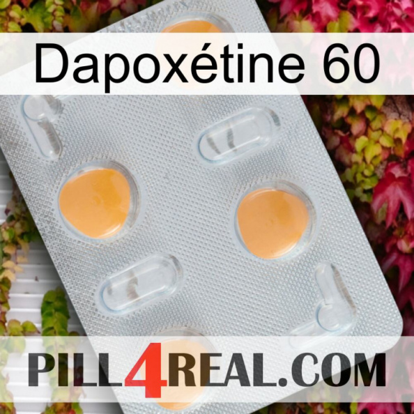 Dapoxétine 60 24.jpg